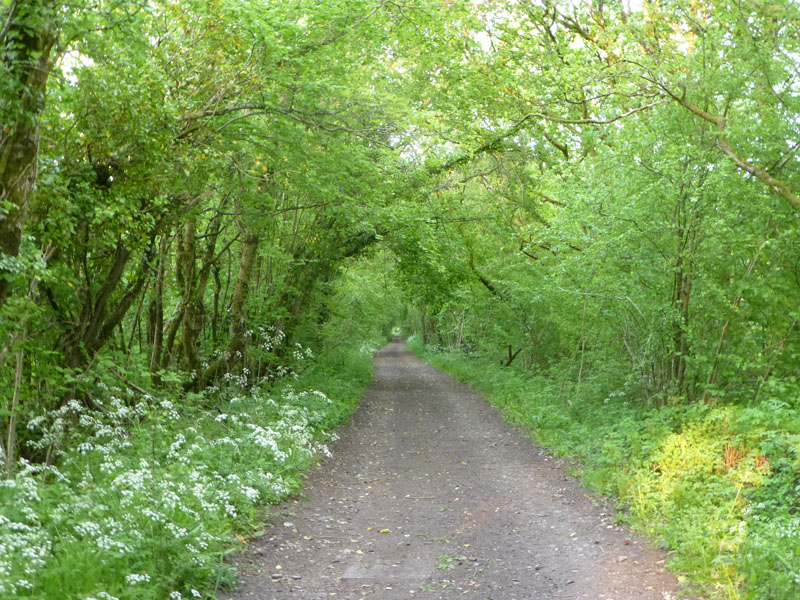 Tiverton to Barnstaple Trackbed